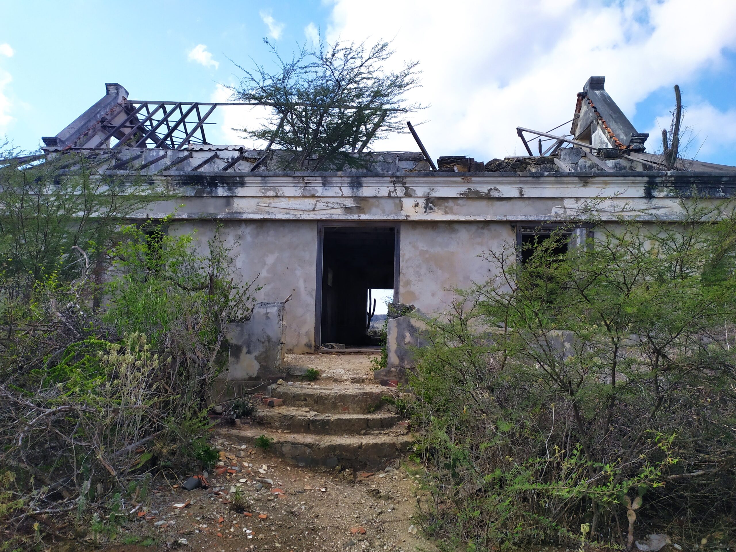 Vigilansia di Herensia – Afbeelding