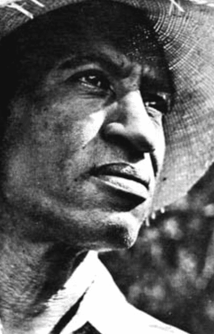 Elis Juliana portrait