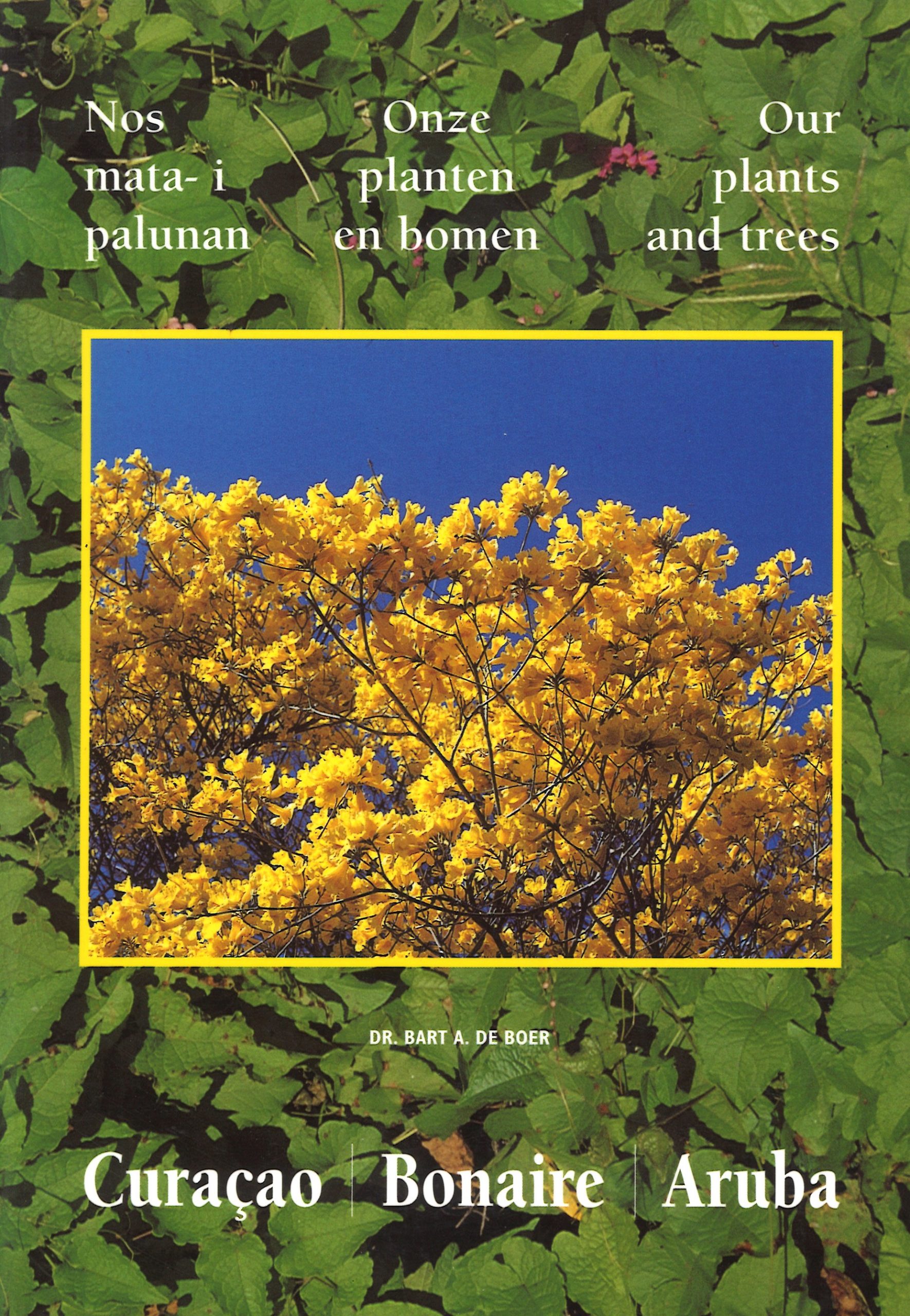 Nos mata i palunan – Kaft